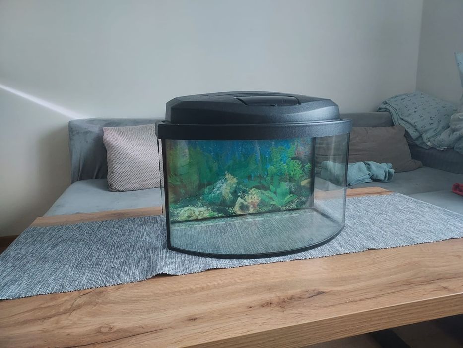 Używane akwarium ok 25l