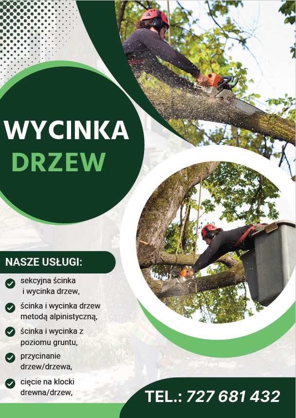 Wycinki / Ścinka /Skup Drewna / Sprzedaż drewna / Cięcie / Przecinki