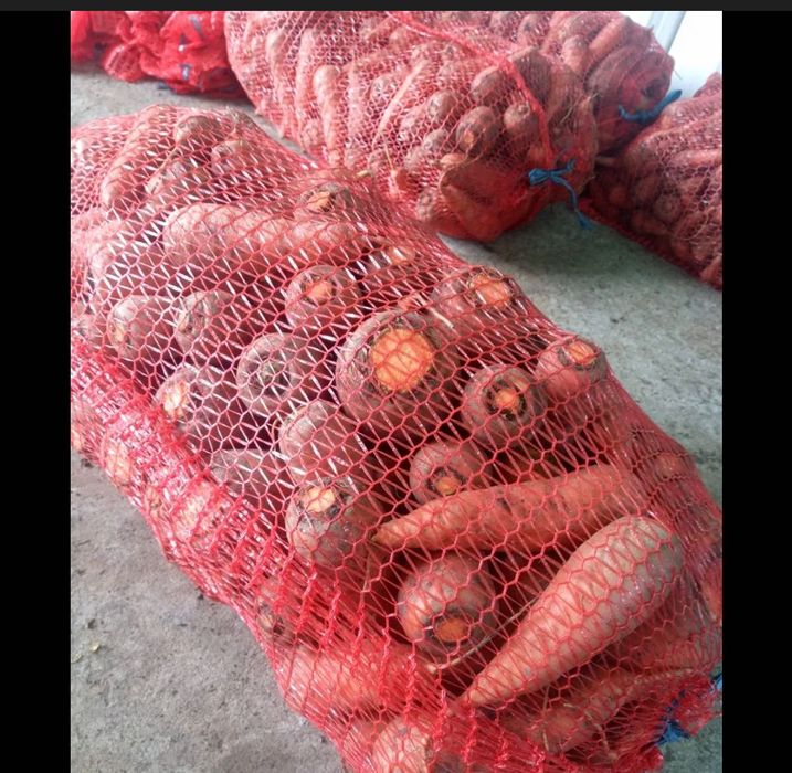 Продам моркву гарну велику , середню