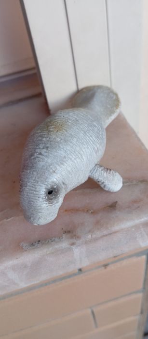 Animal leão marinho 1992