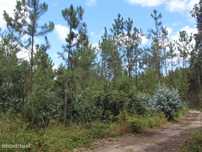 Terreno c/ 10712m2