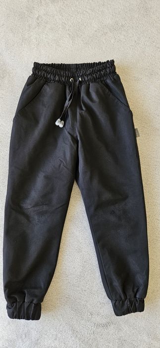 Штани дитячі демі на мікрофлісі