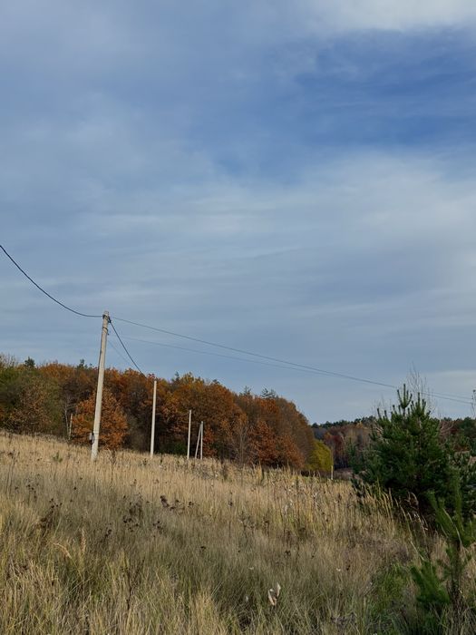 ‼️Преміум-ділянка біля озера та заповідника‼️