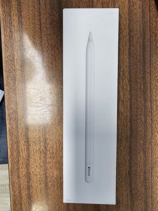 Caneta Apple Pencil (USB-C) - MUWA3ZM/A