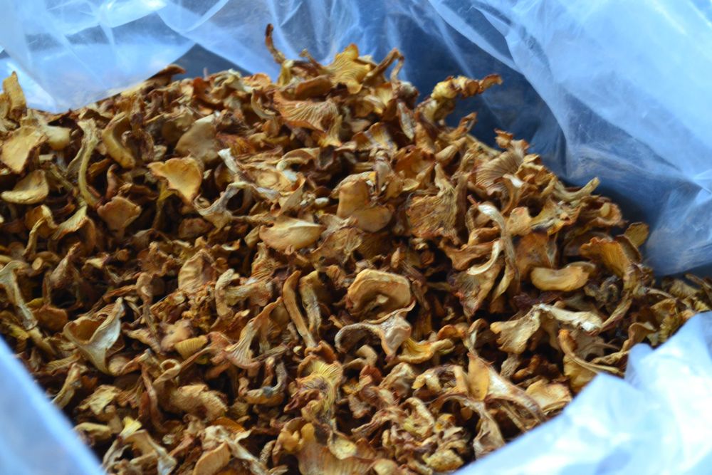 Kurka/Pieprznik Jadalny, Suszona 1kg