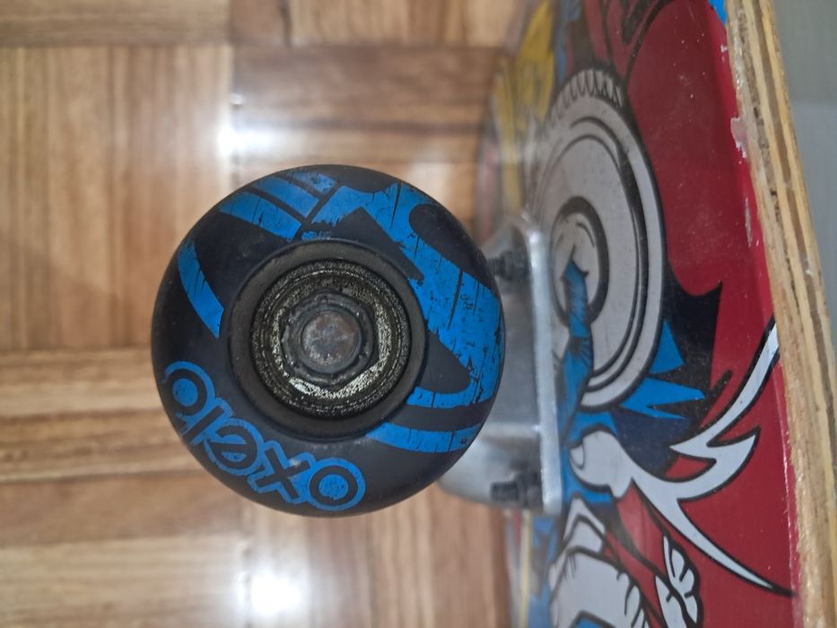 Skate criança oxelo