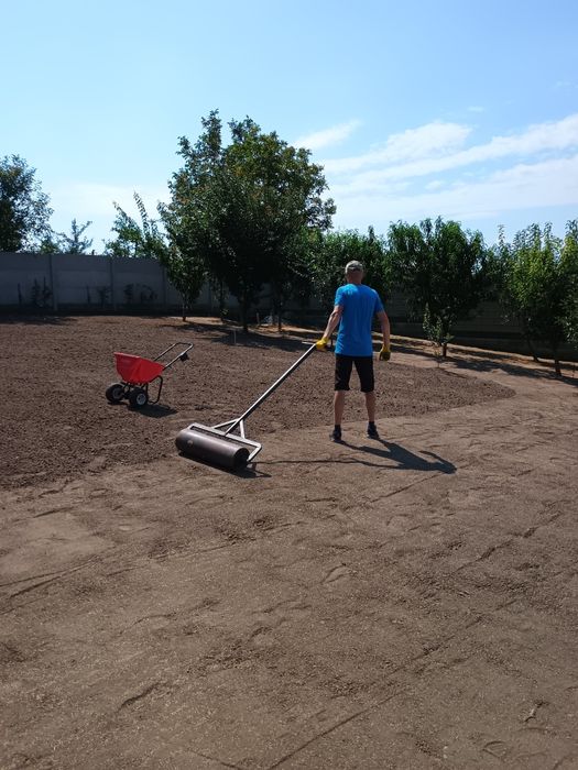 Стрижка рослин, посів газону, обрізка дерев