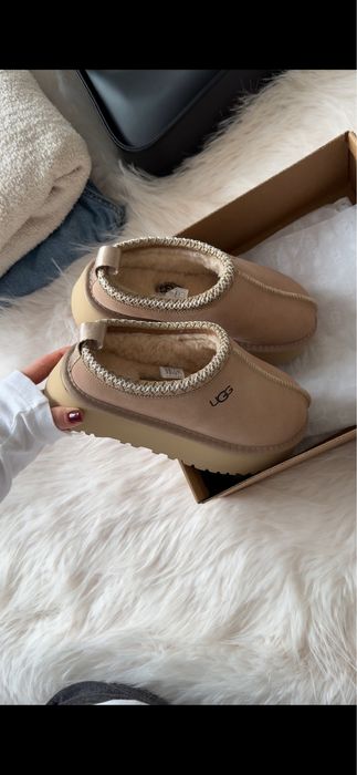 ugg tazz ugg tasman