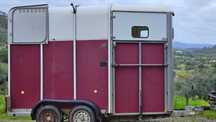 Atrelado Cavalos ifor williams