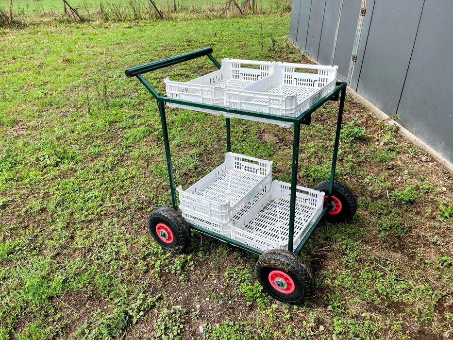 Carrinhos de colheita de pequenos frutos