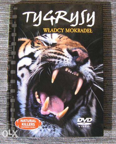 Tygrysy - Książka i film DVD