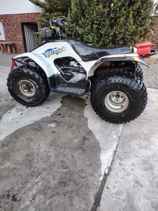 Yamaha breeze 125