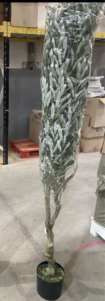 Oliveiras artificiais lindissimas com entrega