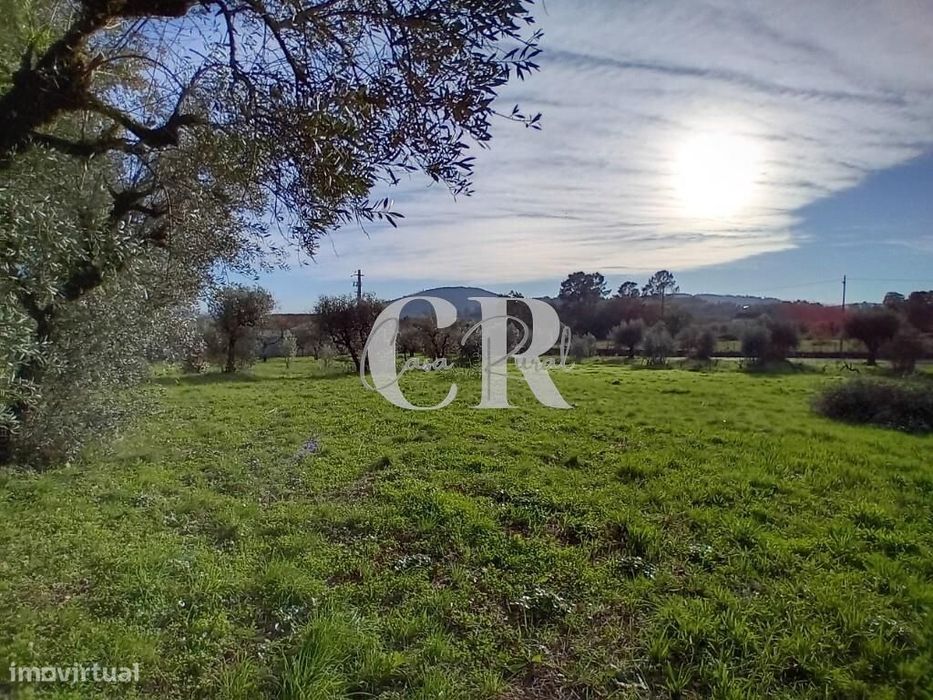 Excelente terreno para construção com cerca de 3.400m2 em Aguda - Figu