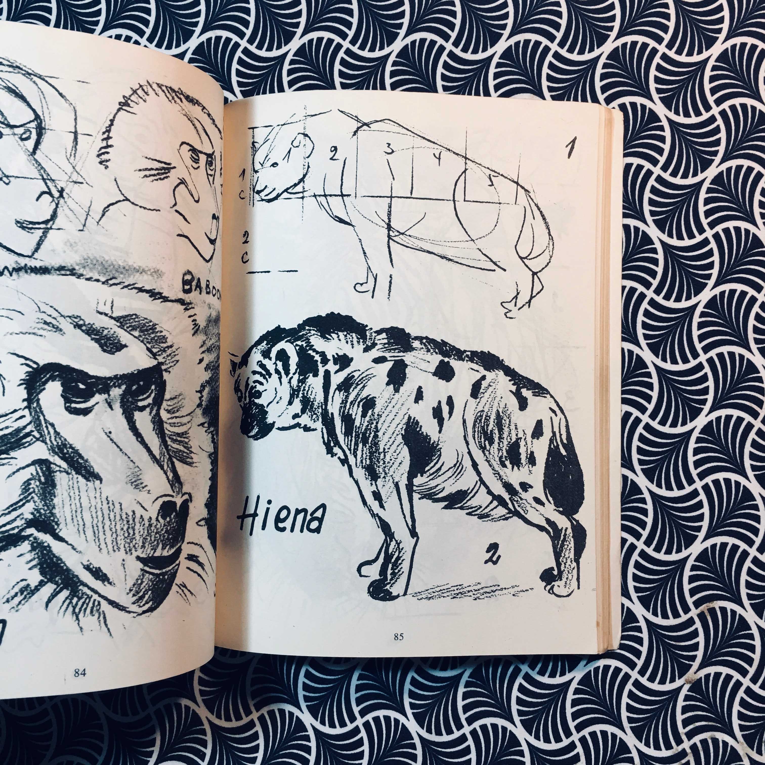 Como Desenhar Animais Selvagens - Rachel Mandel