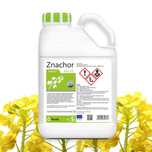 Znachor 500 SC 5L Koncentrat Herbicyd Środek na chwasty Rzepak Ozimy