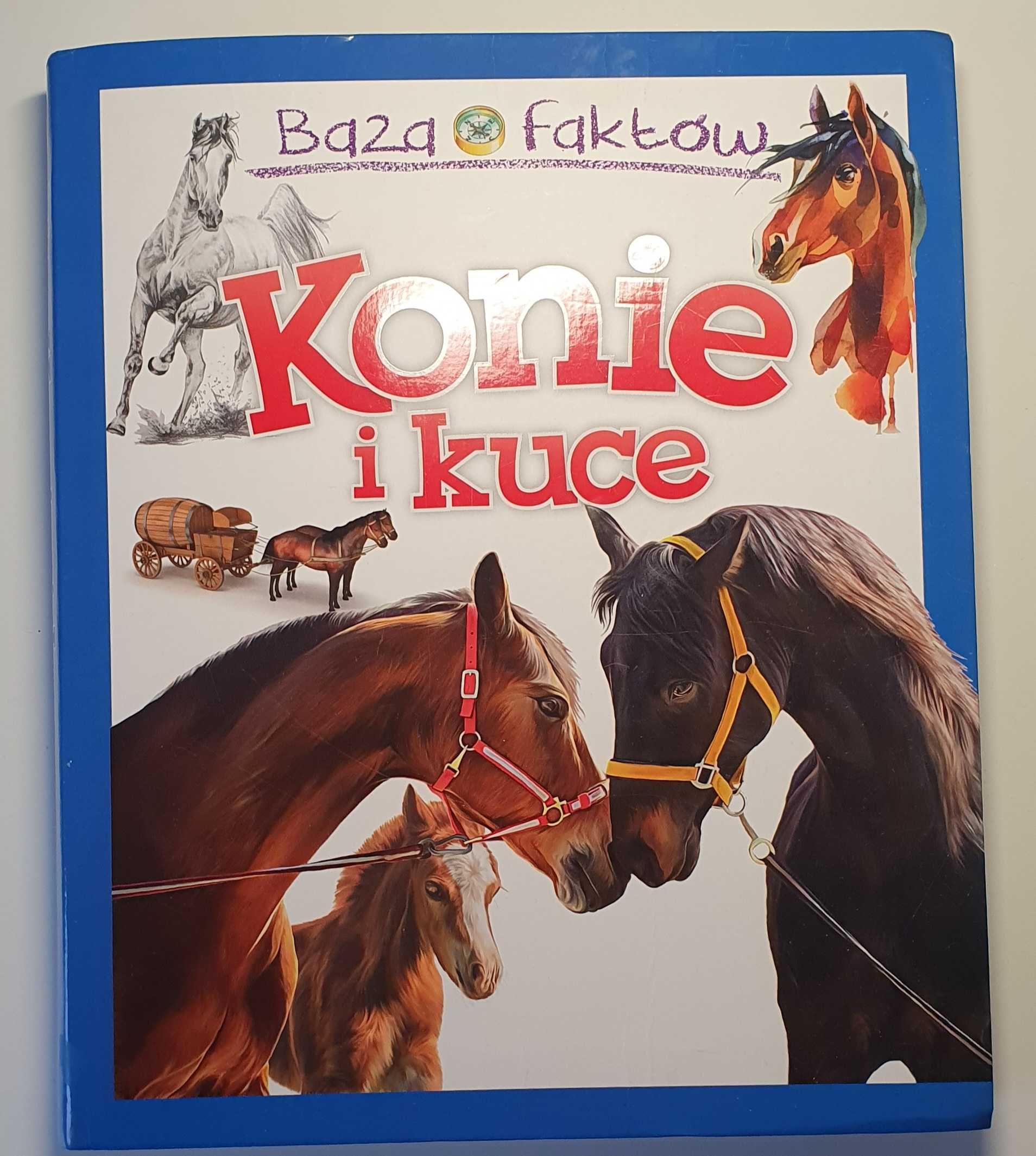 Konie i kuce - książka dla wszystkich miłośników koni