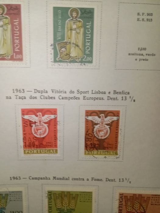 Selos tem selos do Benfica