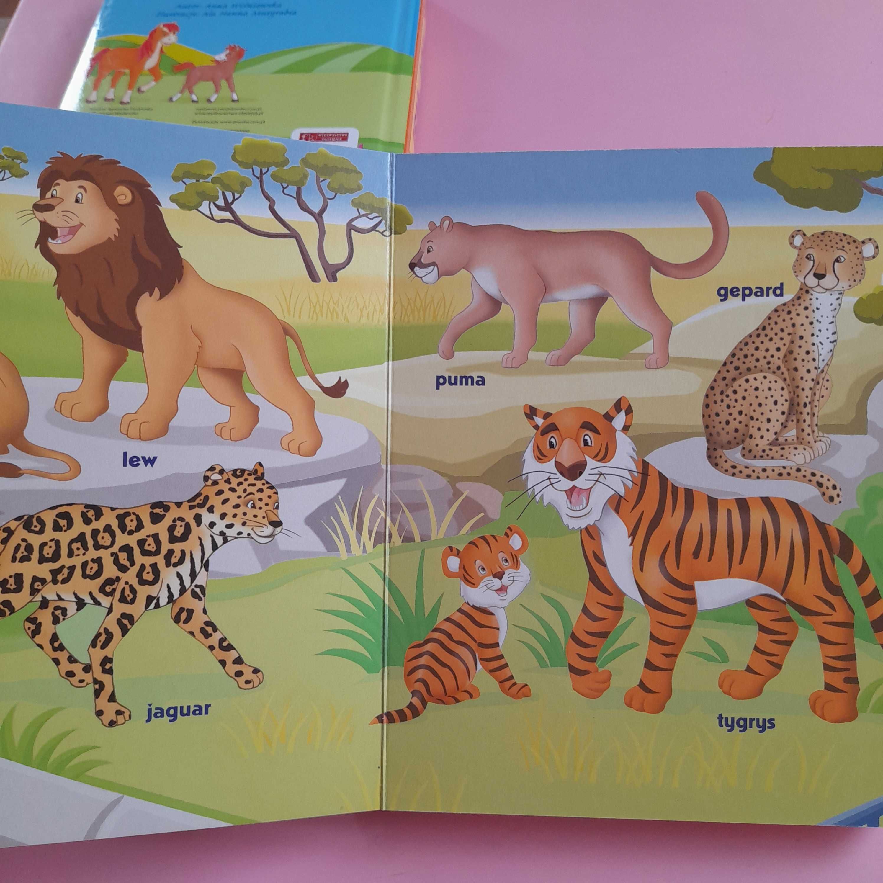 Książeczki zwierzęta W Zoo i Na Wsi dla dzieci ilustracje książka
