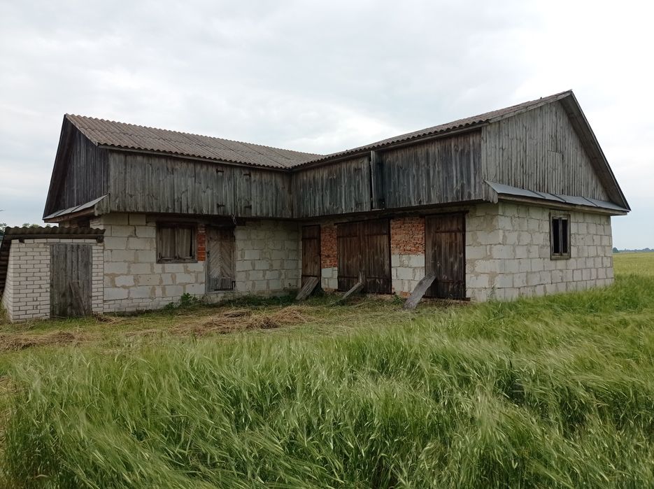 Незавершене будівництво с. Бриків