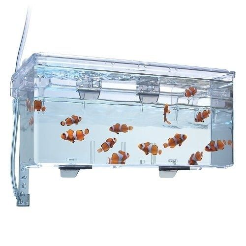 Maternidade Fluval