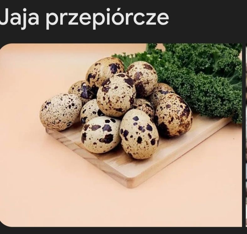Jaka przepiórcze z wolnego wybiegu