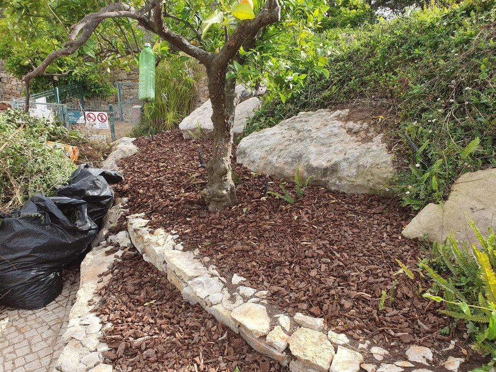 Serviço de jardinagem