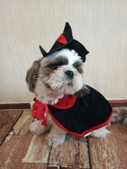 Одяг для собак до 10кг