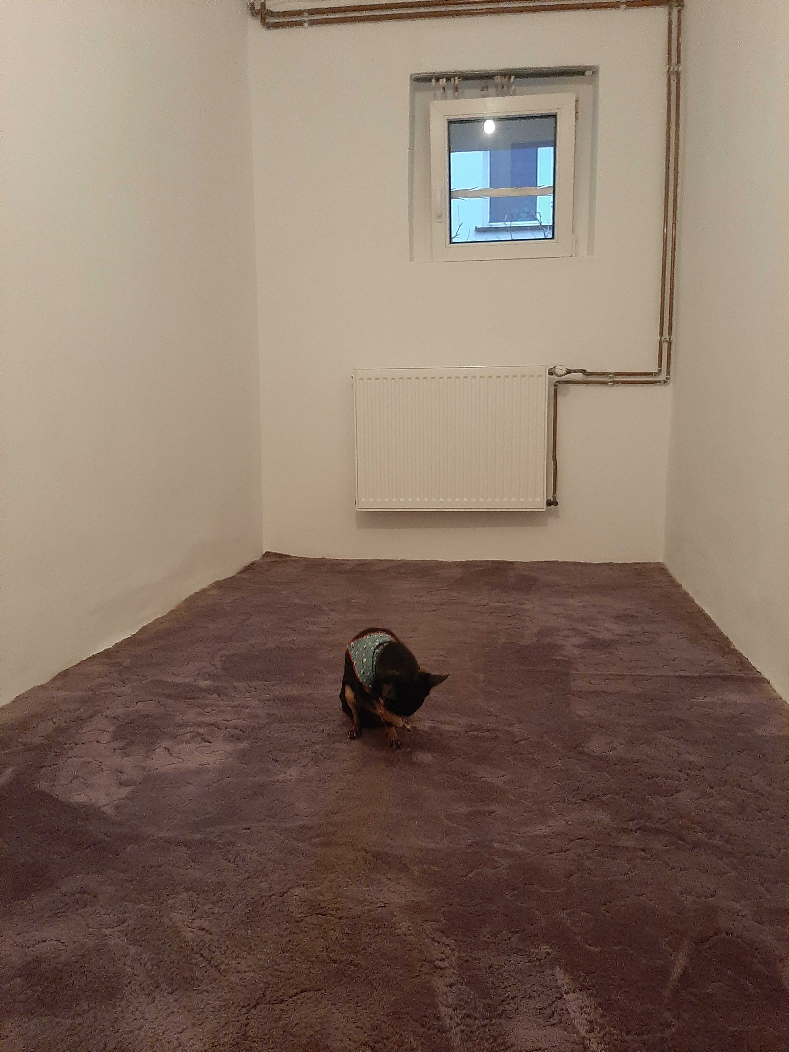 pokój jednoosobowy po remoncie