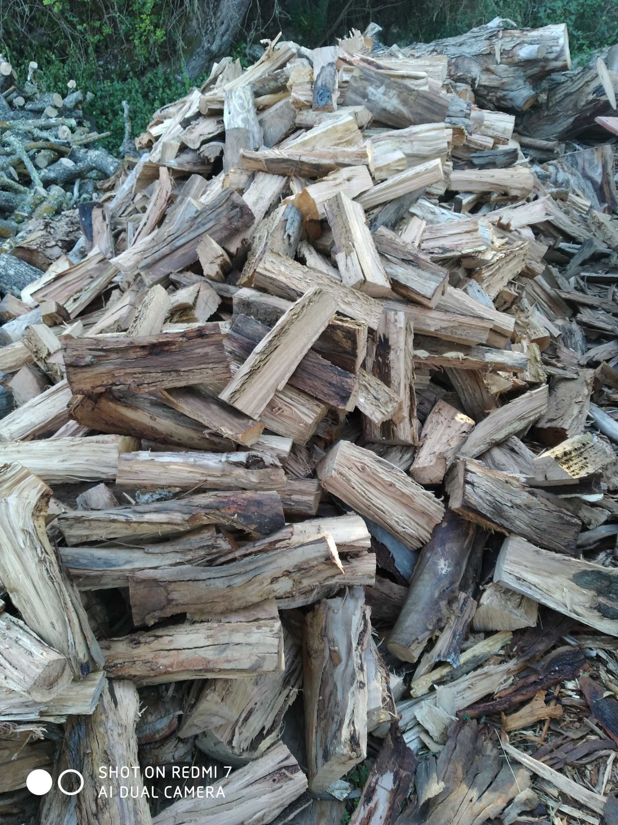 Lenha /Firewood para lareiras