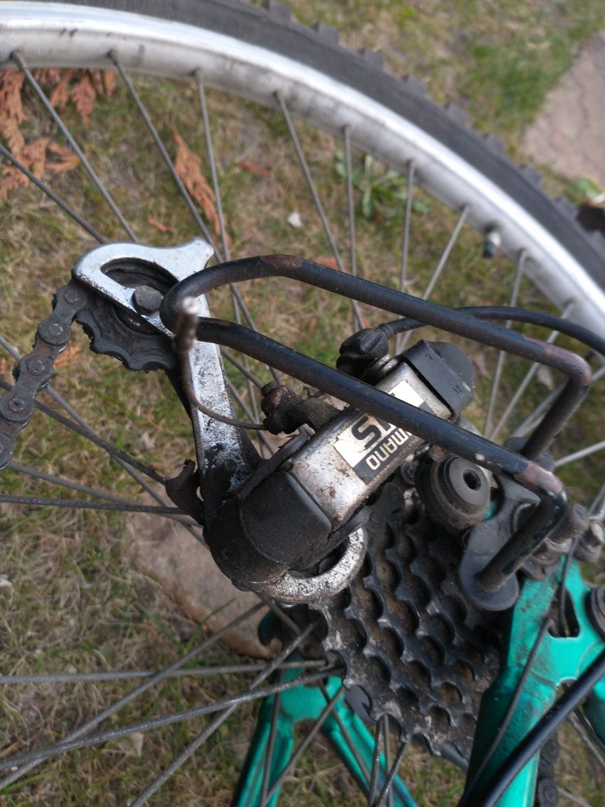 Arkus Forester MTB