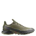 Чоловічі кросівки SALOMON  Alphacross 5 GTX (473103)