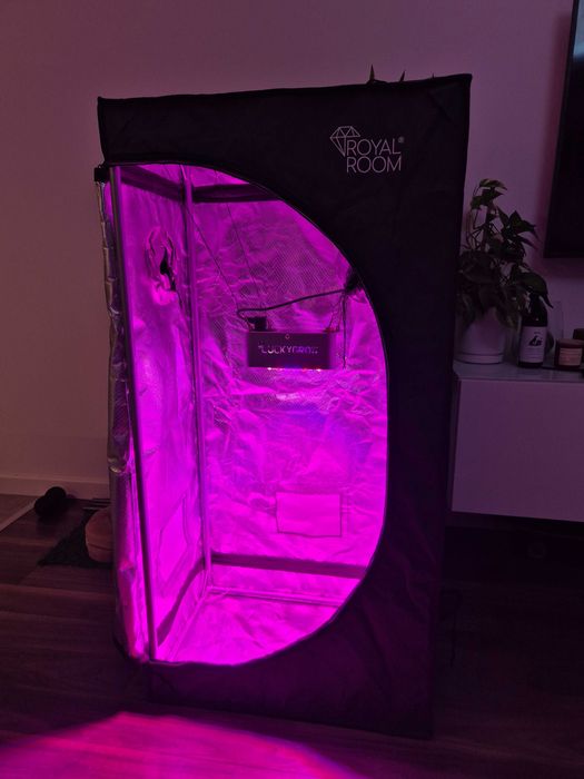 Growbox namiot do uprawy roślin, lampa, filtr - zestaw.