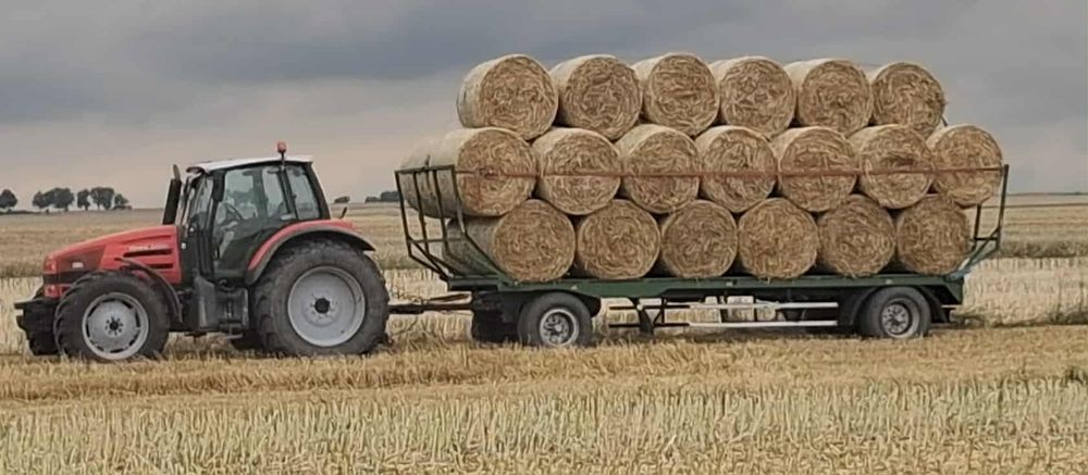 Słoma w belach sprzedam