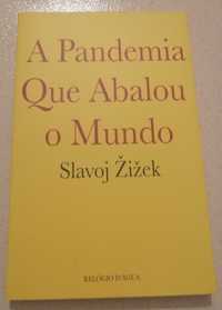 Livro de Slavoj Zizek.