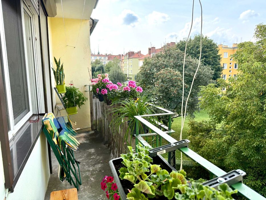Brzeg,– 3 pokoje, 56,1 m², balkon, piwnica