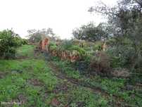 Terreno misto com a área total de 1840 m2 no Carrascal - Algoz - Silve