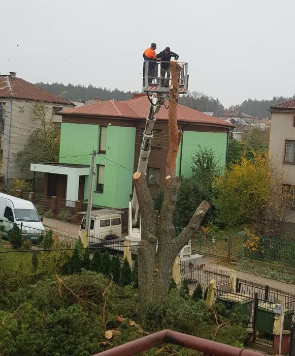 wycinka drzew, rębak,frezowanie,rekultywacja na 30cm