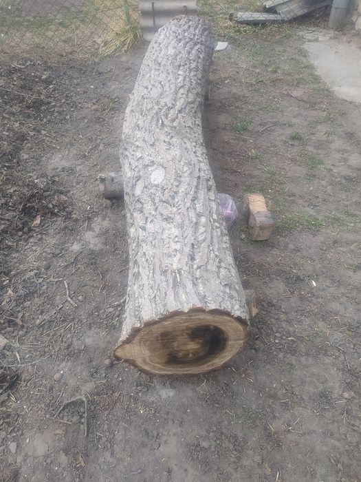 Продам стовбур горіха на доски