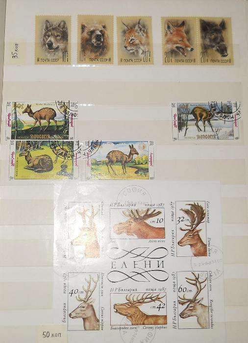 Почтовые марки фауна