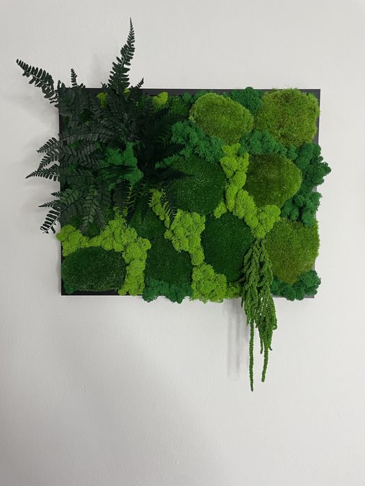 Obraz z mchu, prezent, dekoracja