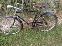 Bicicletas pasteleiras