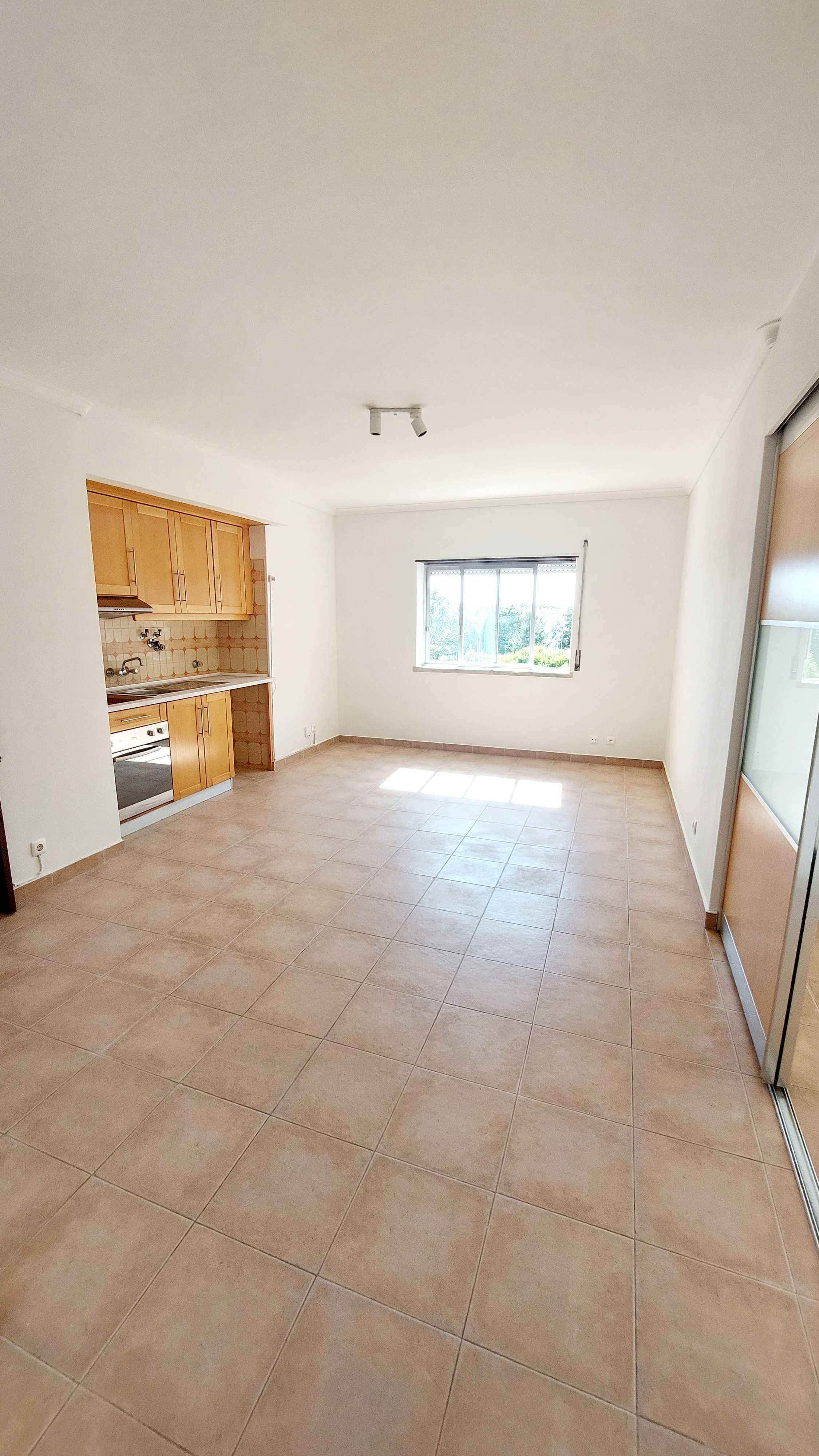 Luminoso T1 na Parede com vista para jardim - Arrendamento