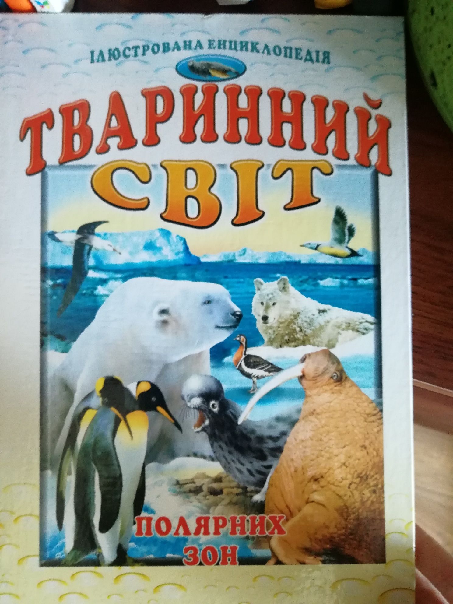 Тваринний світ полярних зон