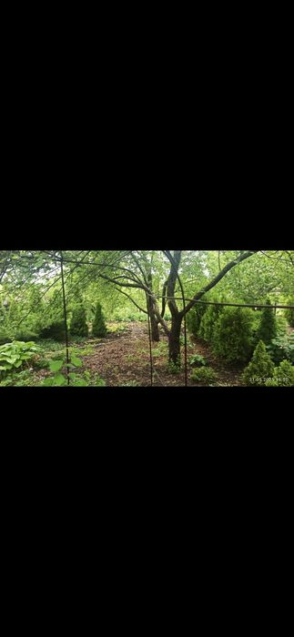 Дом на Лазурном район долины бедных