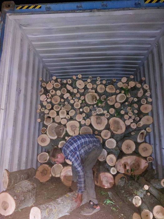 Широкий вибір порід дров та швидка доставка! Купуйте відразу.