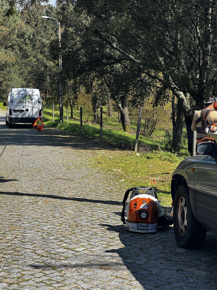 Limpezas Terrenos Florestais e Agrícolas