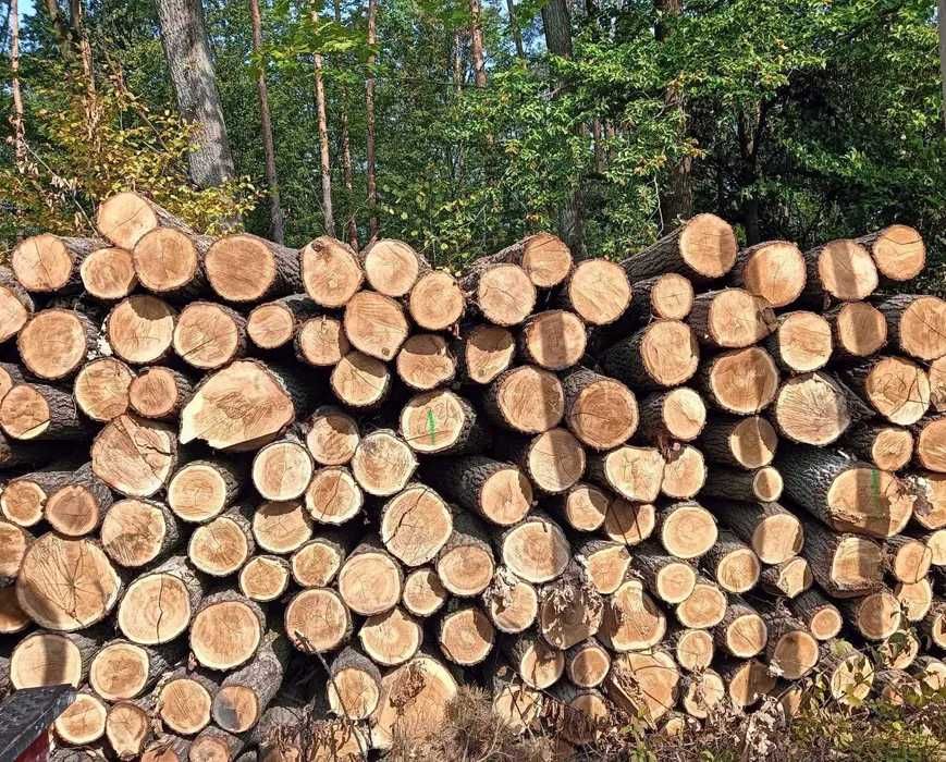 Drewno opałowe 6 metrów – sosna, olcha, brzoza, dąb Sobolew Gończyce