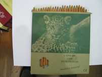 Caixa de Lápis de cor Ecológicos