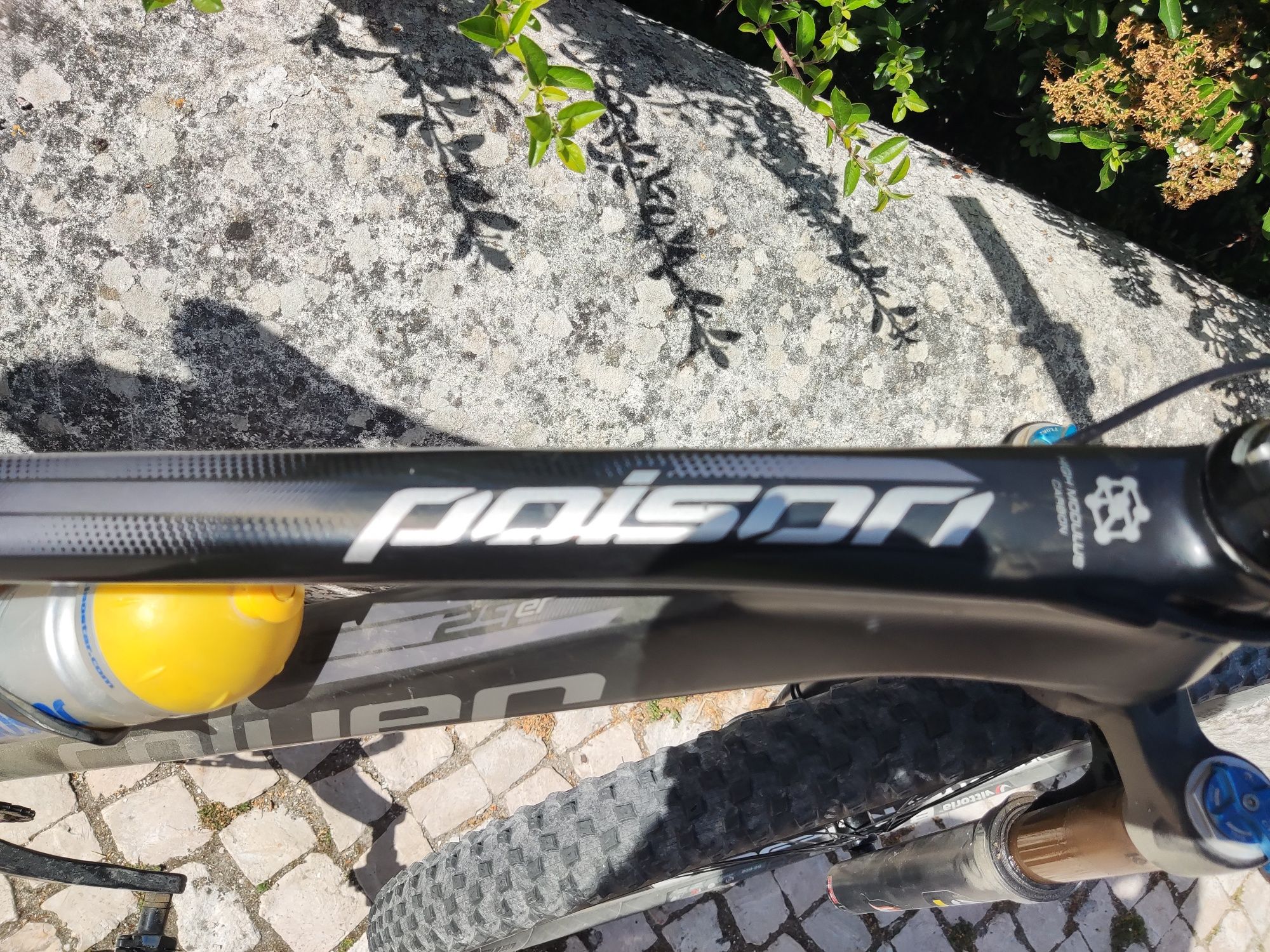 BTT carbono roda 29 quadro M coluer